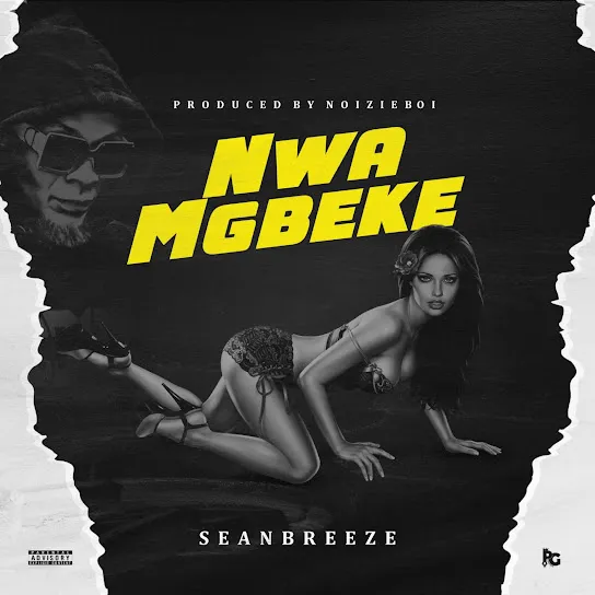Sean Breeze – Nwamgbeke